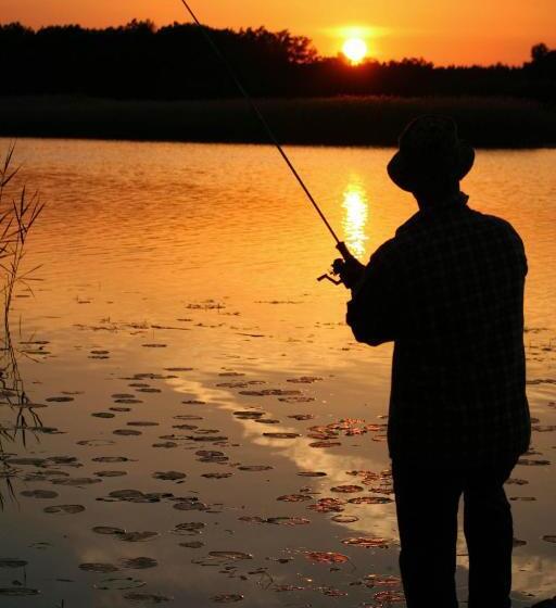 ペンション Gula Huset