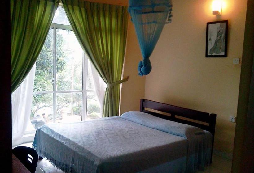 بنسيون Mccarthy Guesthouse