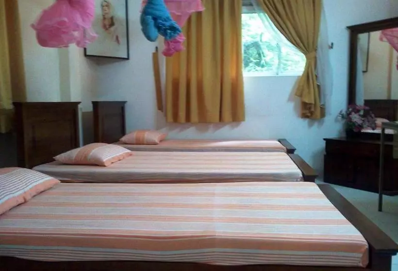 Pensió Mccarthy Guesthouse