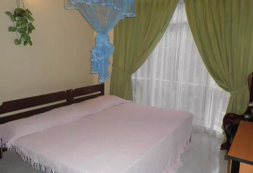 Pensió Mccarthy Guesthouse