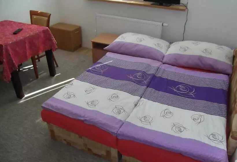 پانسیون Penzion Apartmány Zlín
