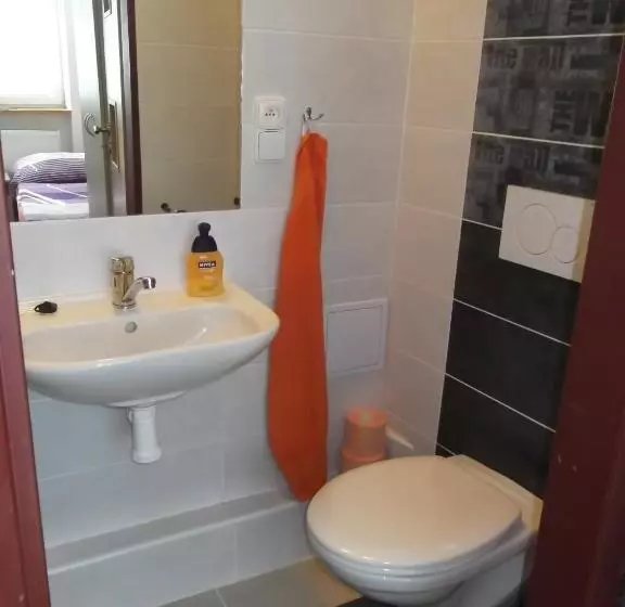 پانسیون Penzion Apartmány Zlín