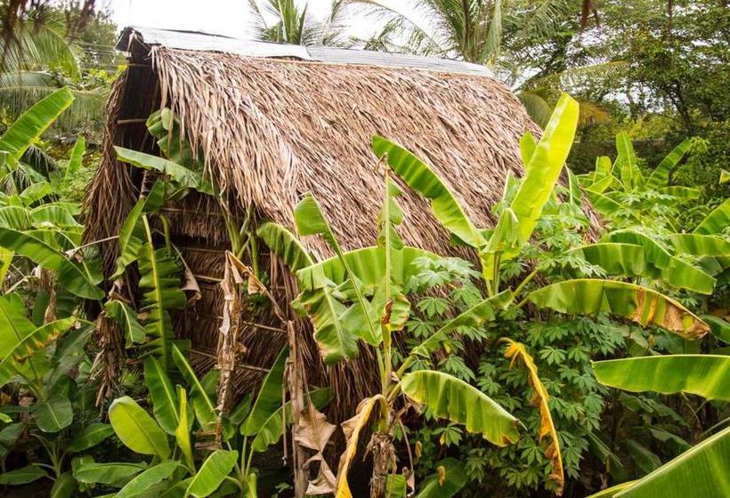 بنسيون Samon Village