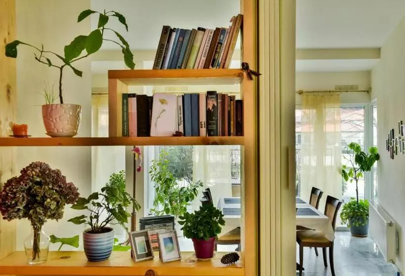 Pensió Villa Forest Way