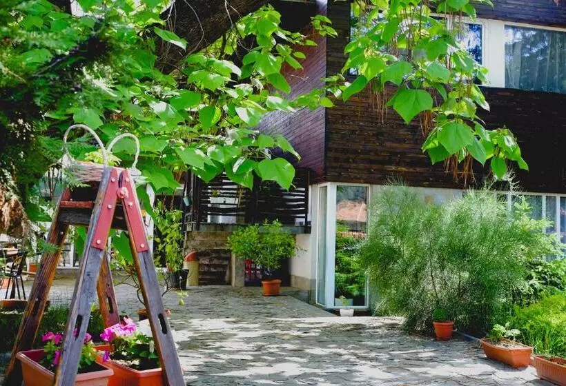 Pensió Villa Forest Way