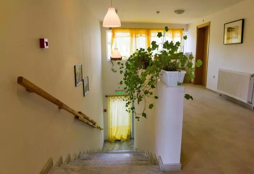 Pensió Villa Forest Way