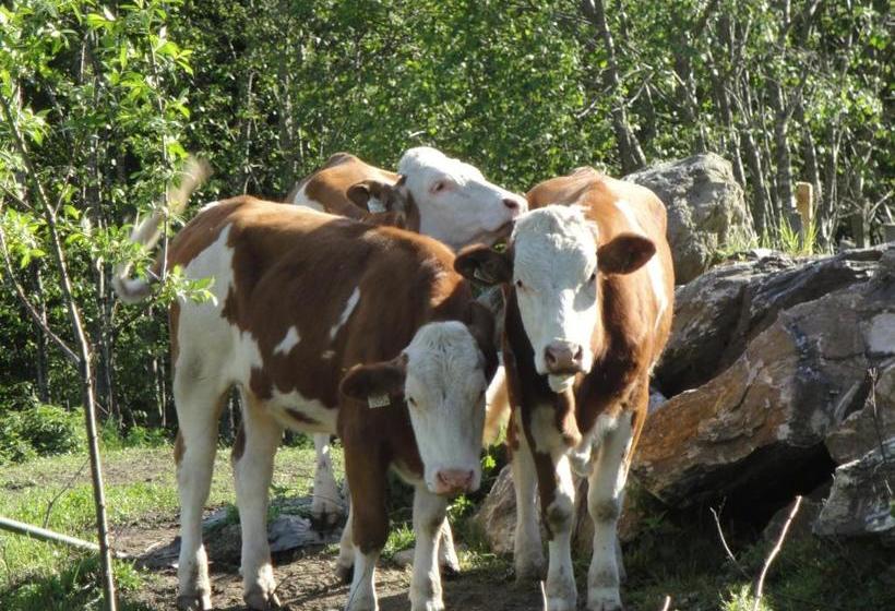 فندق Brandebengut