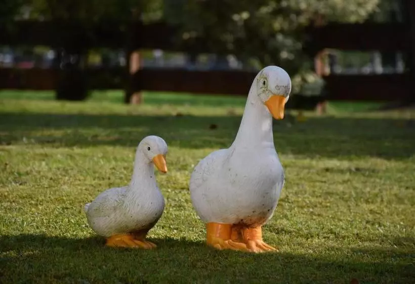 Majatalo Hirzingerhof