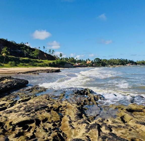 Pensjonat Pousada Yapara Tyba