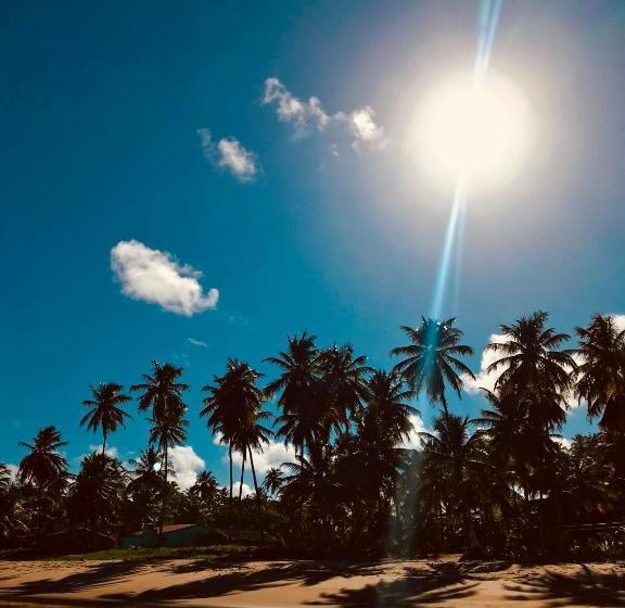 Pensjonat Pousada Yapara Tyba