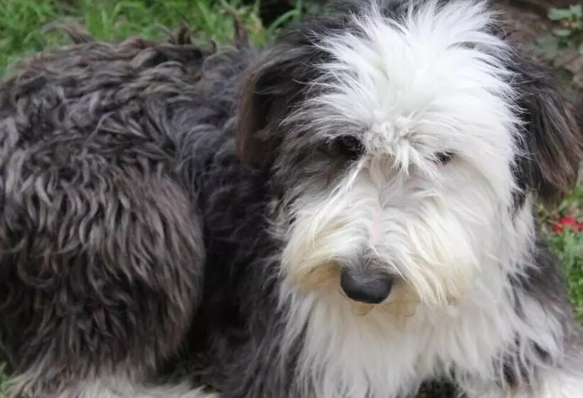 Retkeilymaja El Geranio