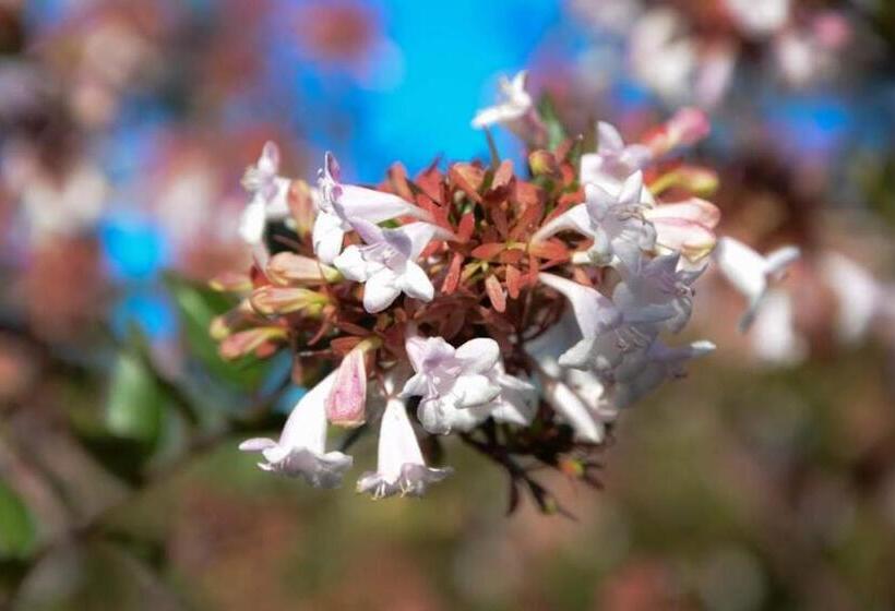 Hostel Melodias Posada Boutique