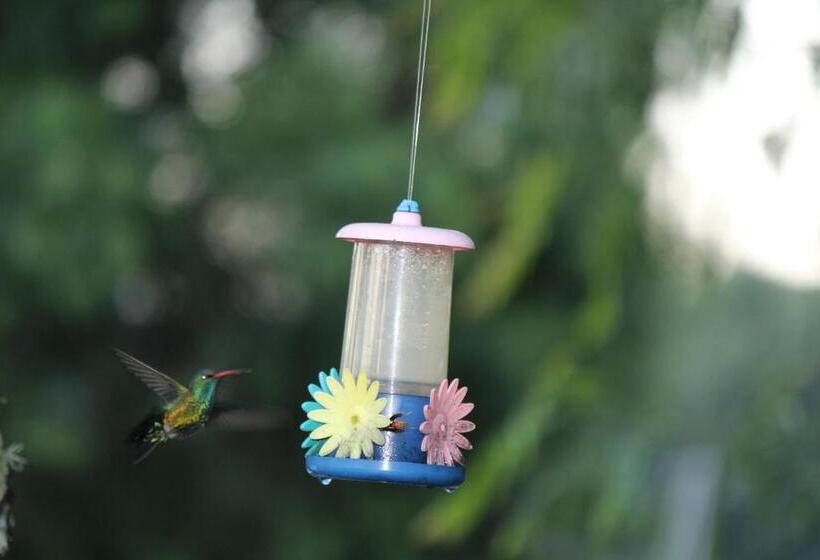 Hostel Melodias Posada Boutique