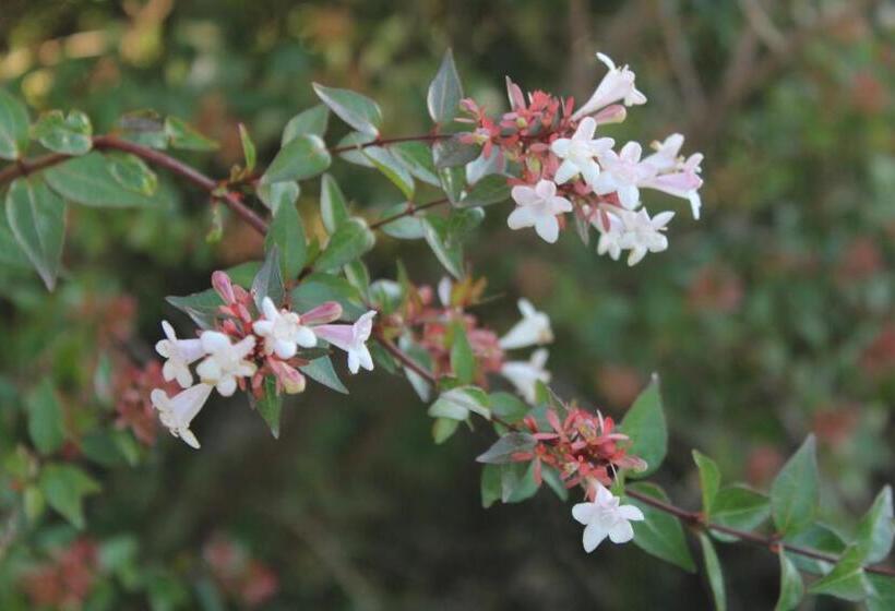 Hostel Melodias Posada Boutique