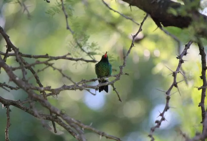 Retkeilymaja Melodias Posada Boutique