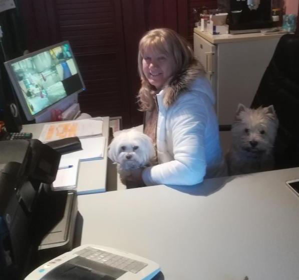 Fekete Macska Panzió