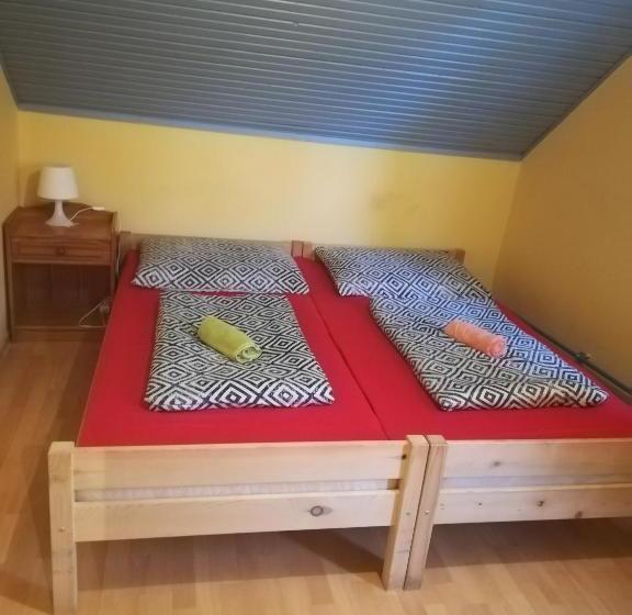 Fekete Macska Panzió