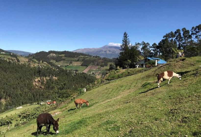 Hosteria Rose Cottage