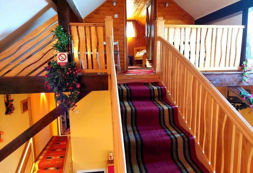 پانسیون Casa Neagu