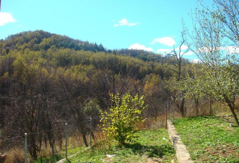 펜션 Family Hotel And Restaurant Plamena