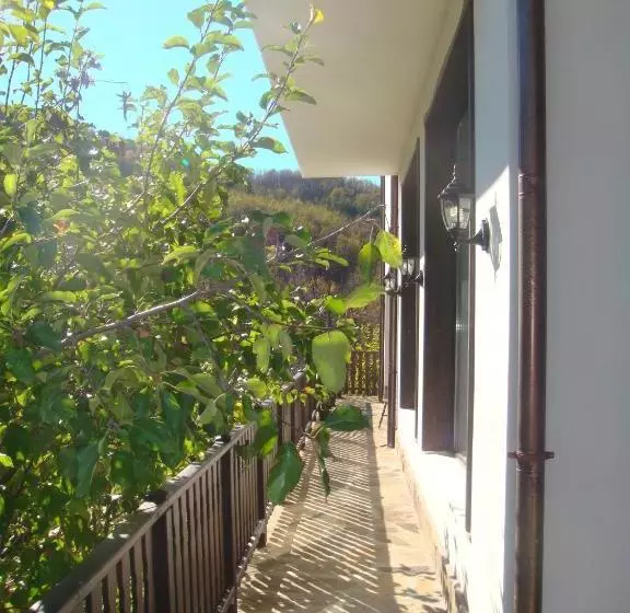 Majatalo Family Hotel And Restaurant Plamena