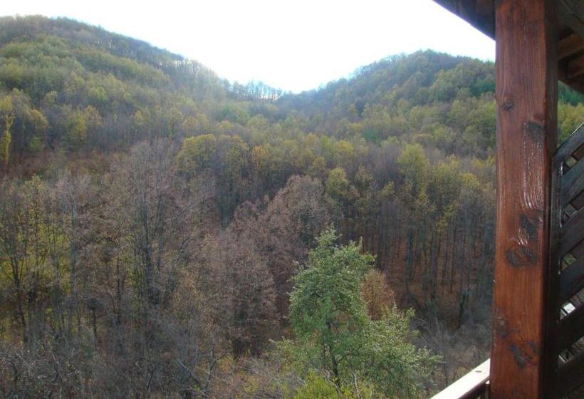 펜션 Family Hotel And Restaurant Plamena