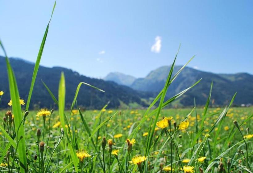 ペンション Gästehaus Einödberg