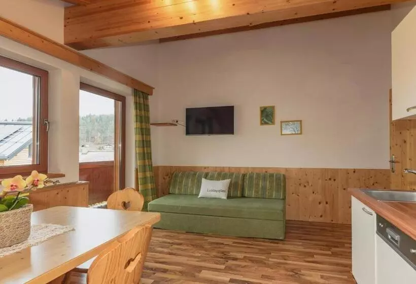 Majatalo Gästehaus Sieder By Schladming Appartements