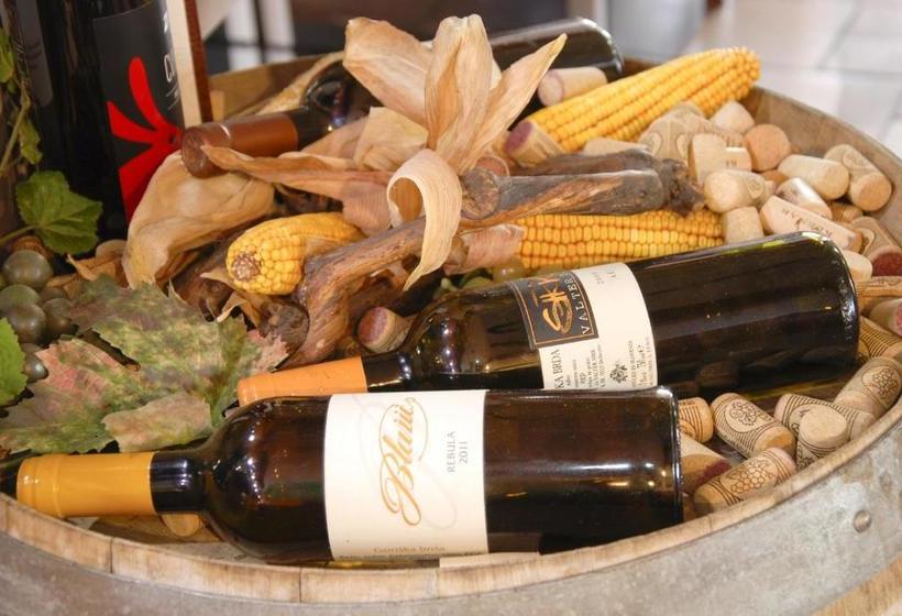 پانسیون Guest House Arvaj