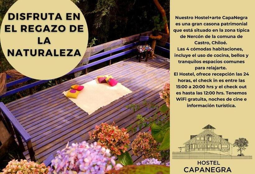 بنسيون Hostel Capanegra