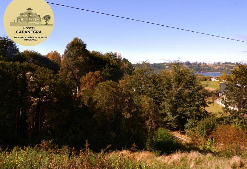 بنسيون Hostel Capanegra
