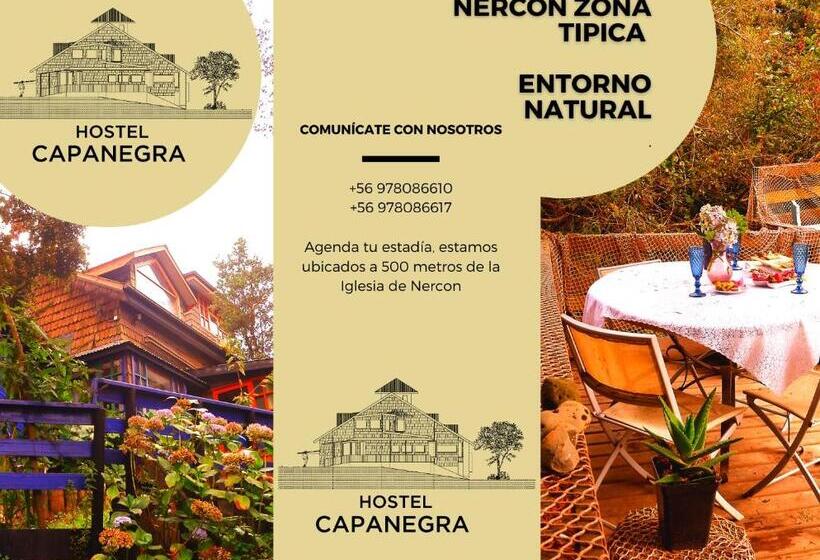 بنسيون Hostel Capanegra