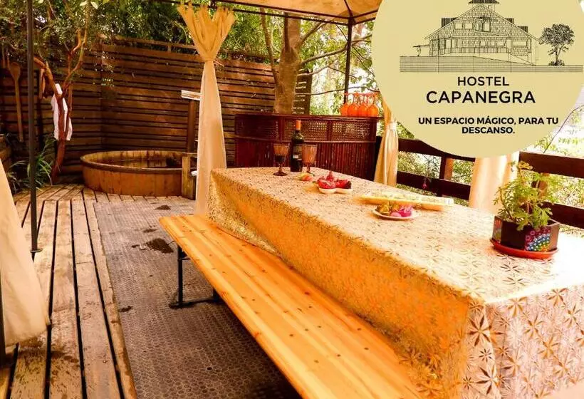 ペンション Hostel Capanegra
