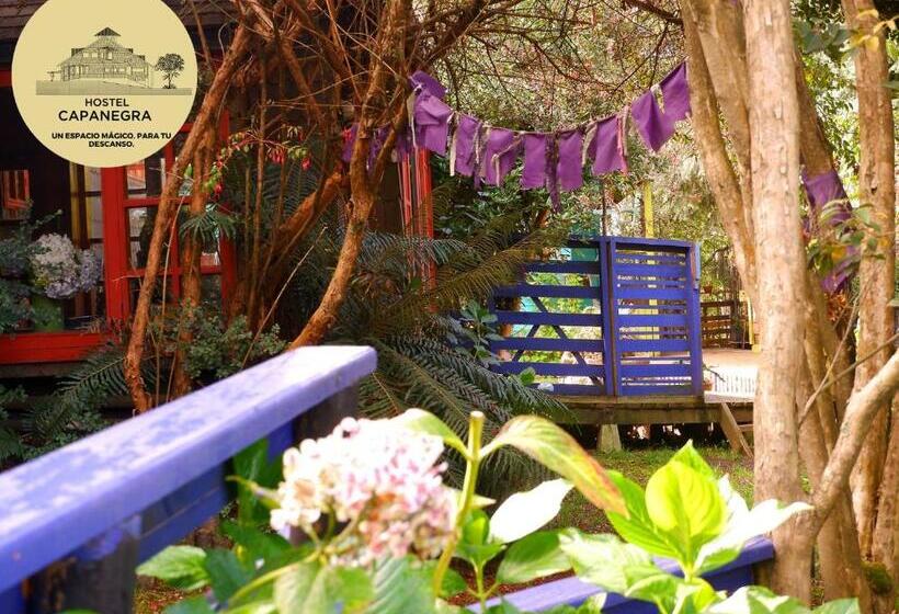 بنسيون Hostel Capanegra