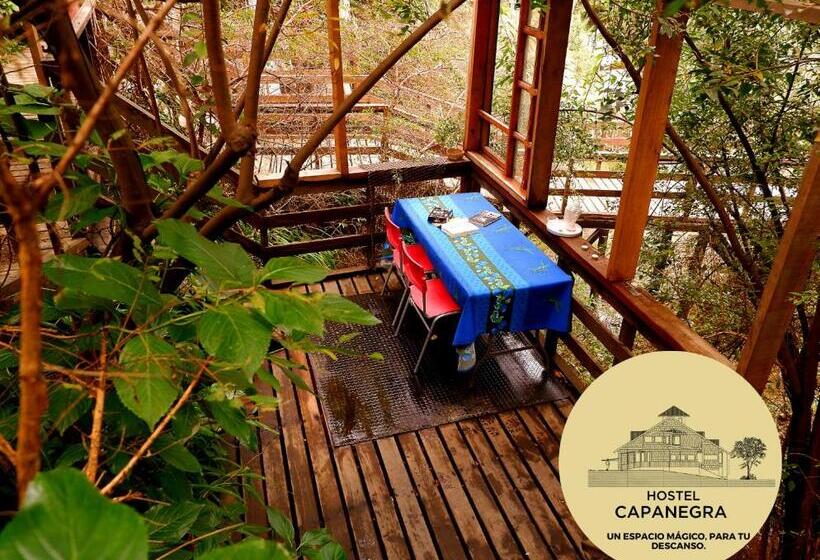 بنسيون Hostel Capanegra