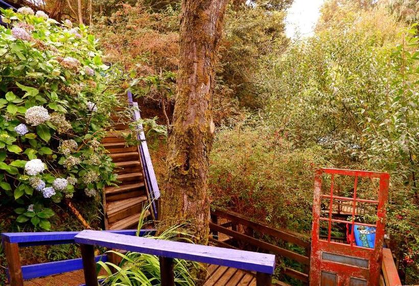 بنسيون Hostel Capanegra