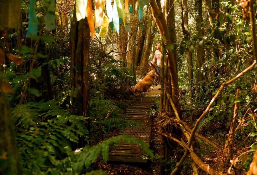 بنسيون Hostel Capanegra