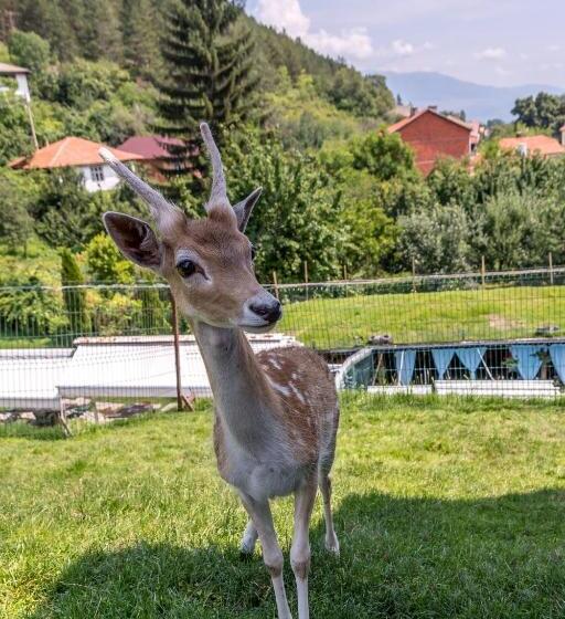 펜션 Tihiat Kut Complex