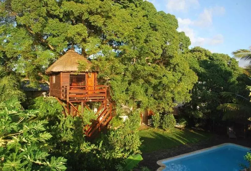 پانسیون Tree Lodge Mauritius