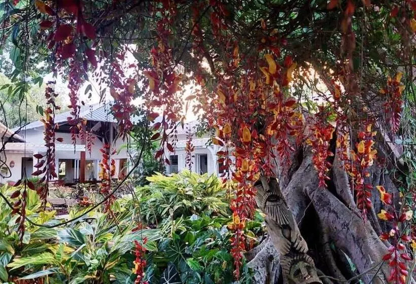 پانسیون Tree Lodge Mauritius