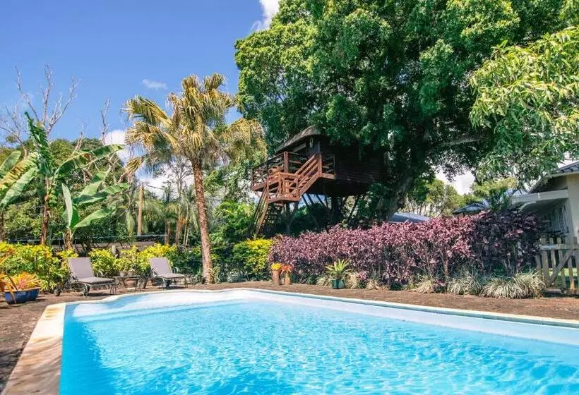 پانسیون Tree Lodge Mauritius