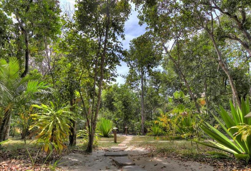 호텔 Village Mata Encantada