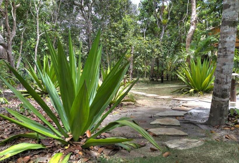 호텔 Village Mata Encantada