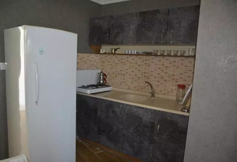 Majatalo Ege Apart &