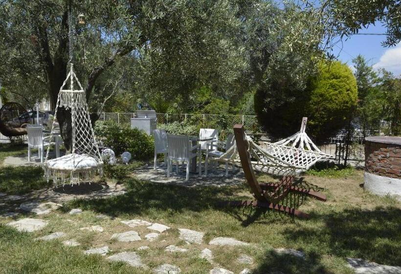 پانسیون Ege Apart &