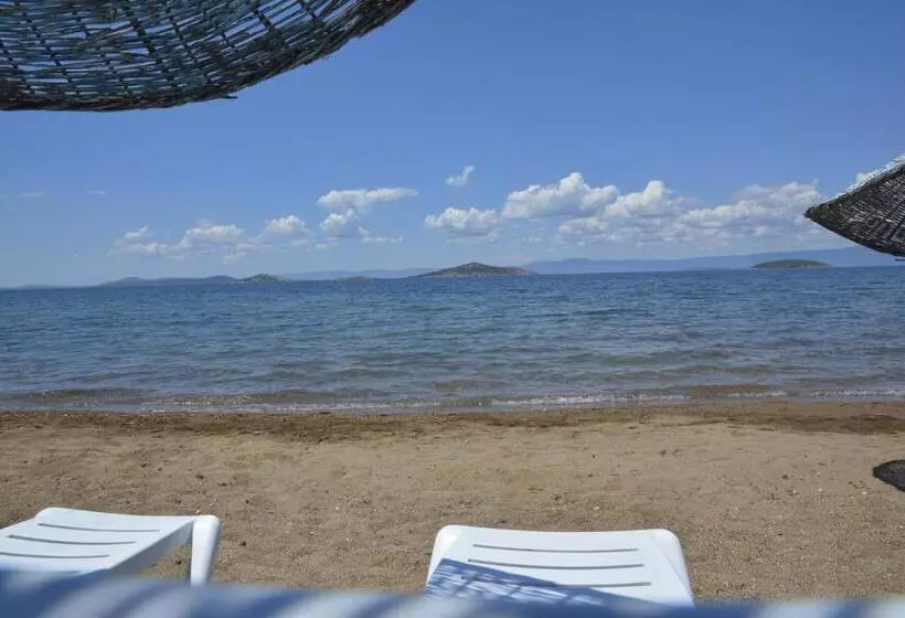 Majatalo Ege Apart &