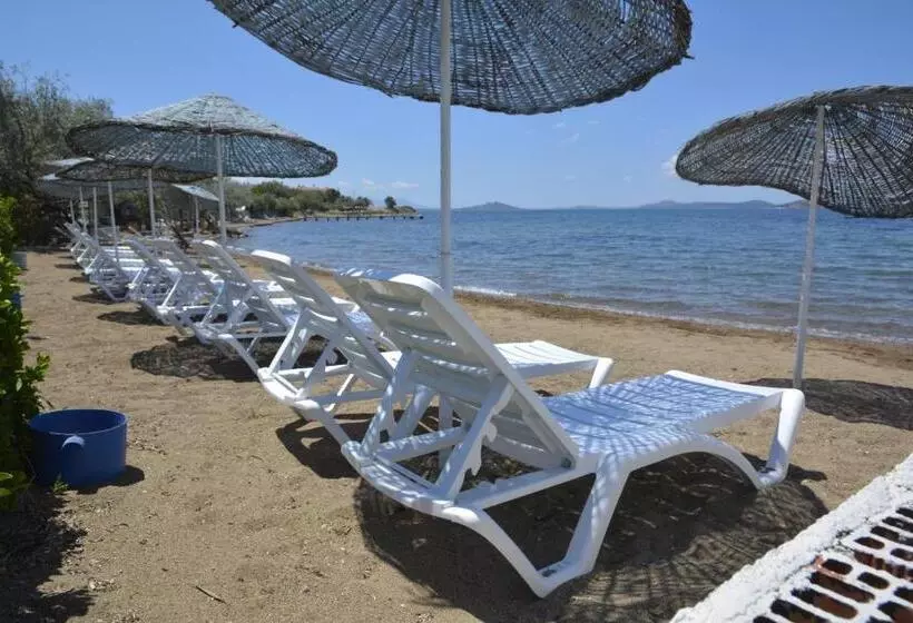 Majatalo Ege Apart &