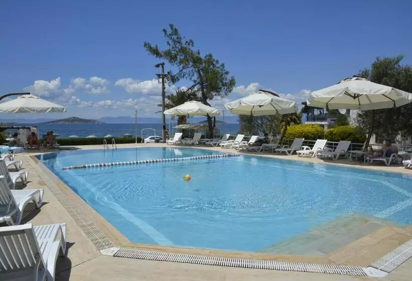 Majatalo Ege Apart &