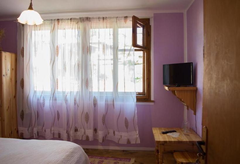 פנסיון Bobi Guest House