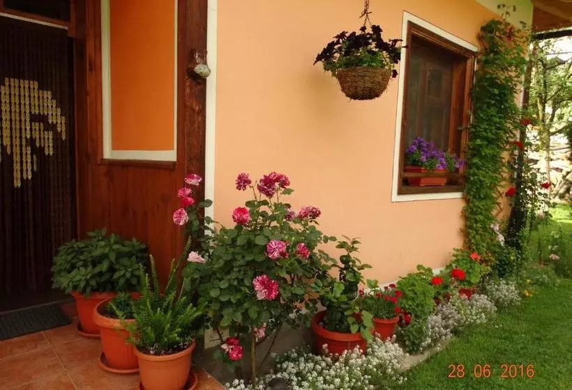 Majatalo Bobi Guest House